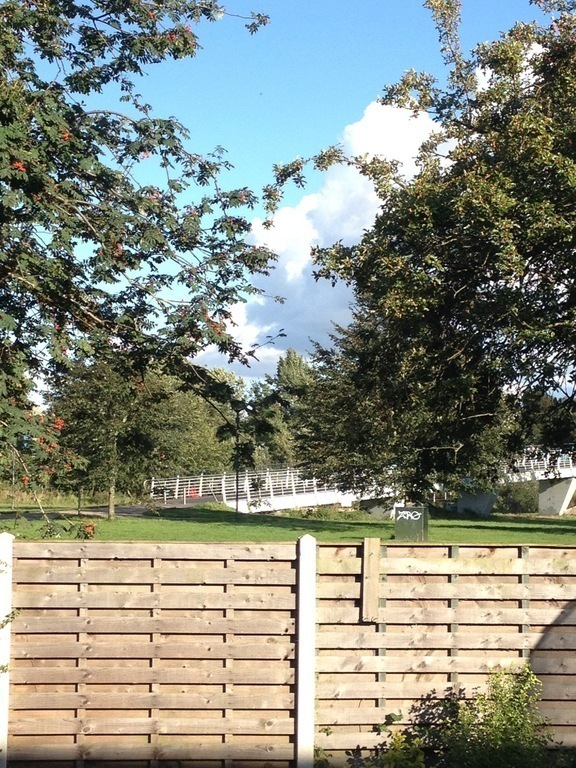 The view from the back of our house over our garden fence