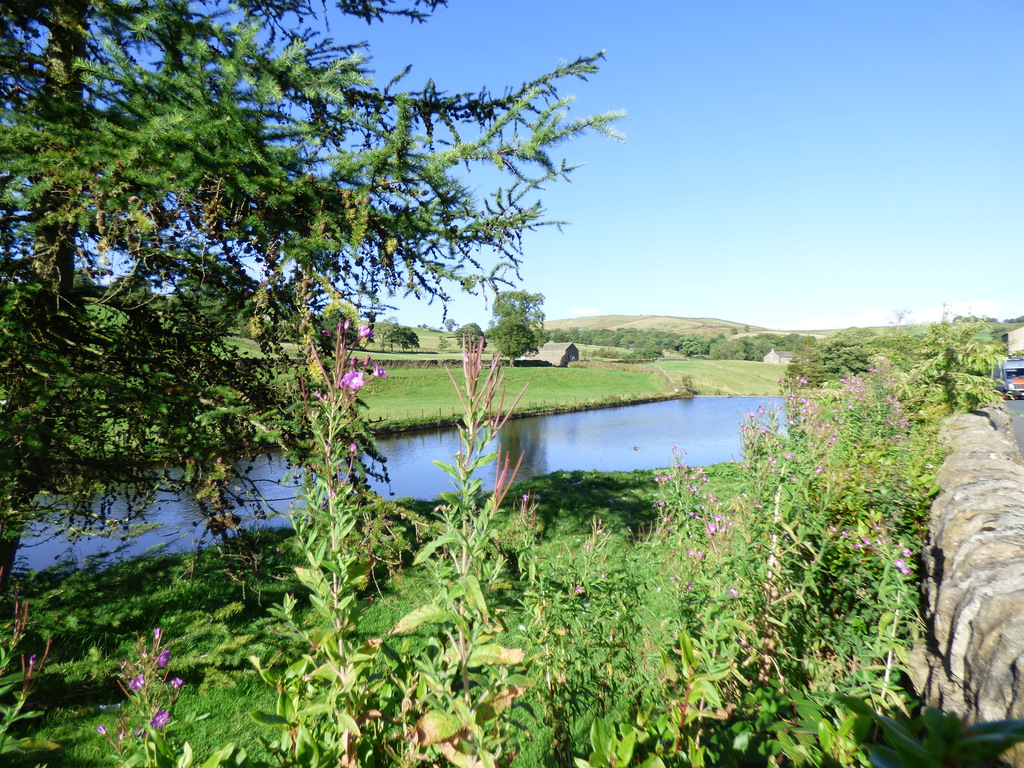 Lothersdale mill pond
