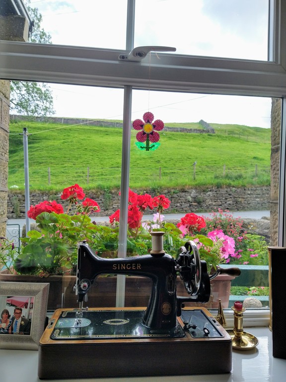 view from the dining room at the front of the house