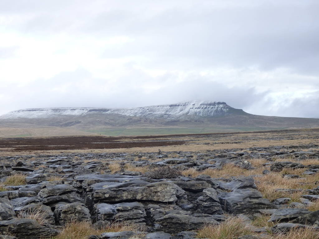 Lime stone pavement and Penyghent