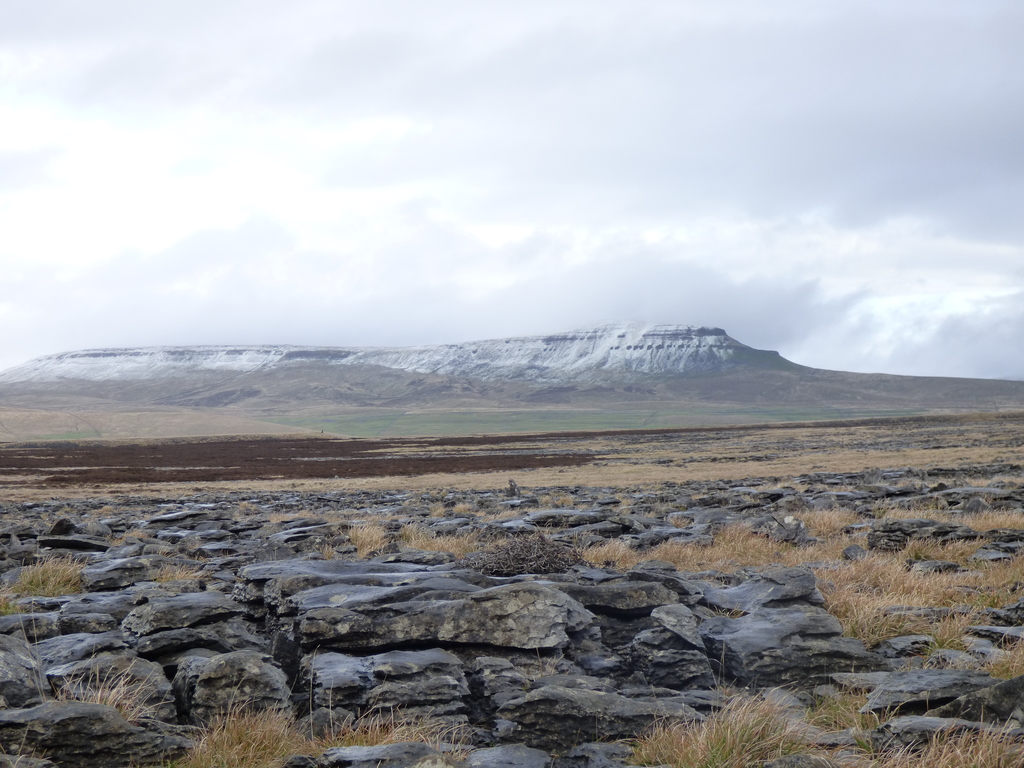 Lime stone pavement and Penyghent
