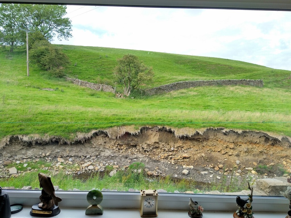 View from the lounge at the back of the house