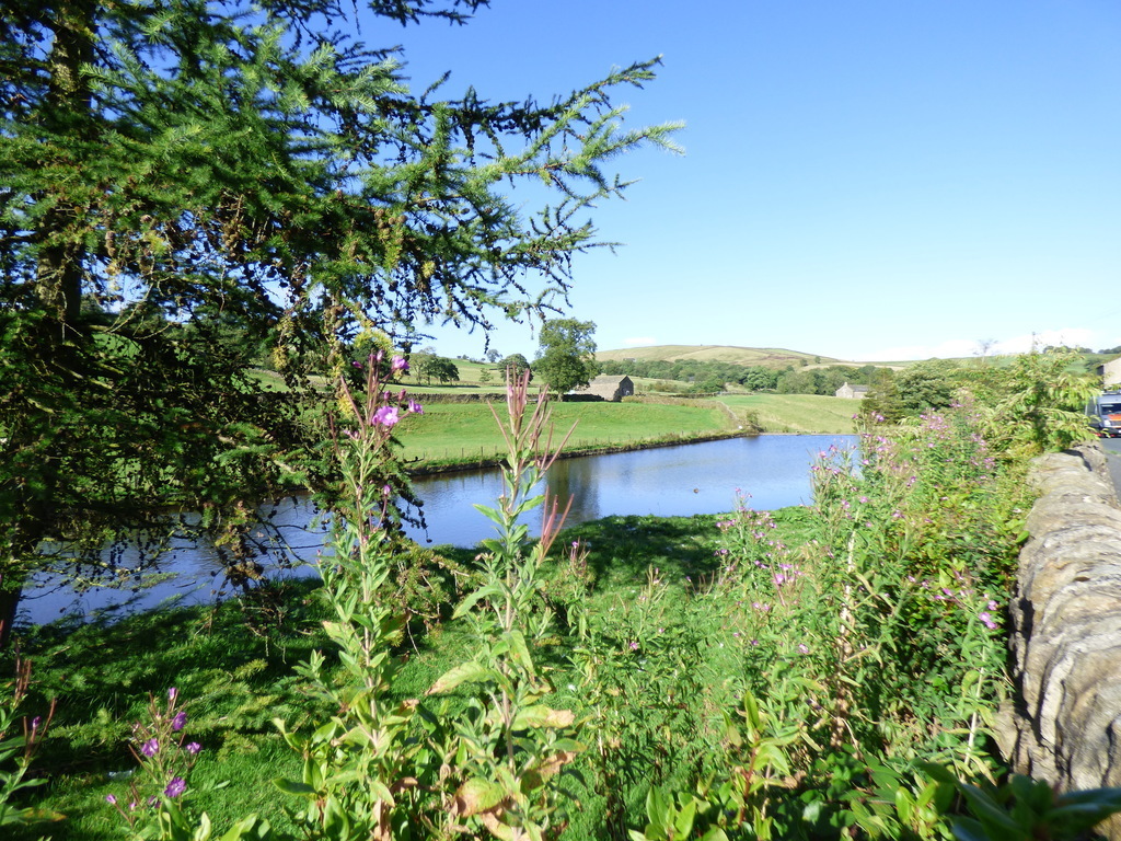 Lothersdale mill pond
