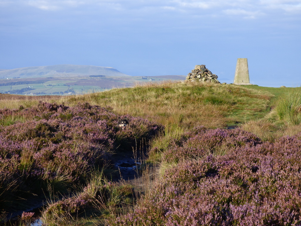 The hill above Lothersdale