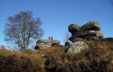 Brimham Rocks - National Trust