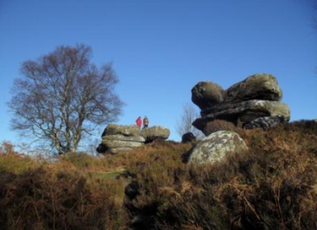 Brimham Rocks - National Trust
