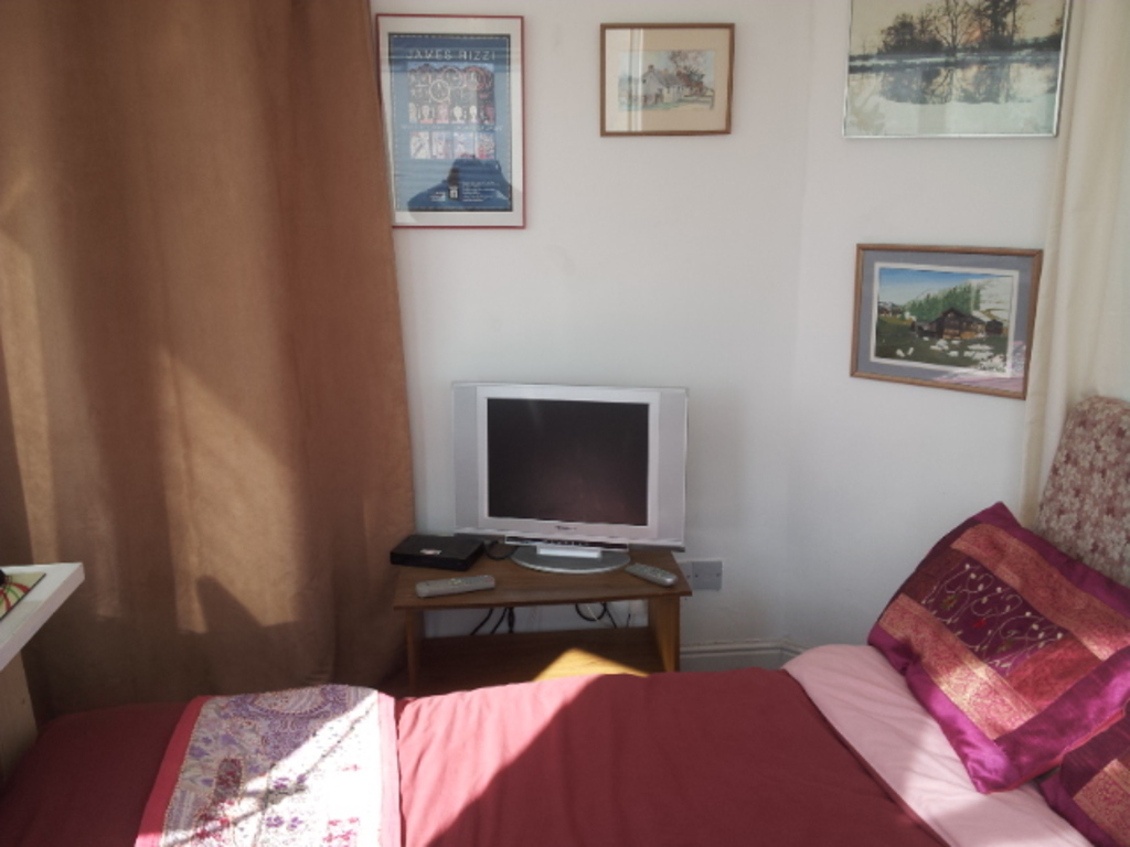 The sofa bed in the top room study area (if you need a 5th bedroom)