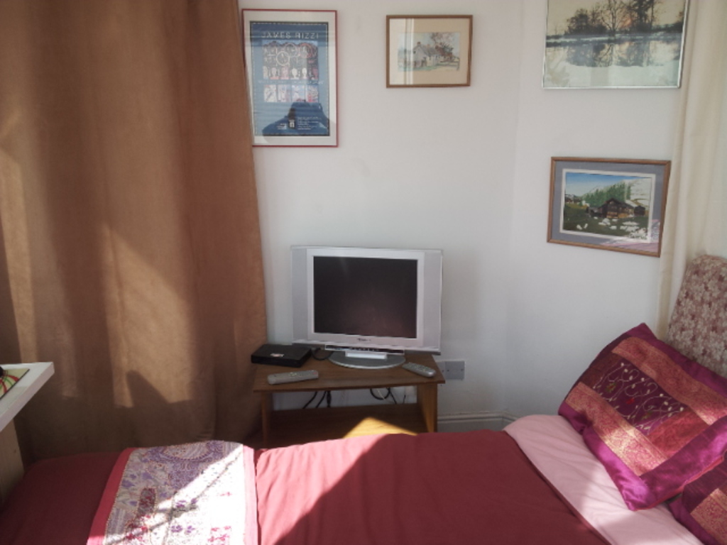 The sofa bed in the top room study area (if you need a 5th bedroom)