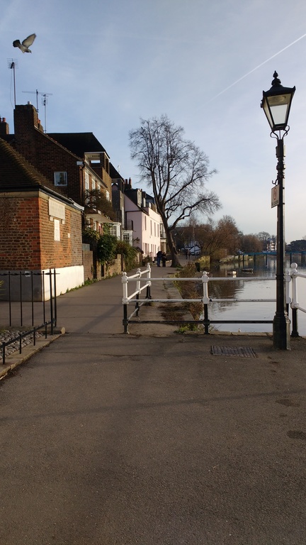 The River Thames at Strand-on-the-Green close to our house