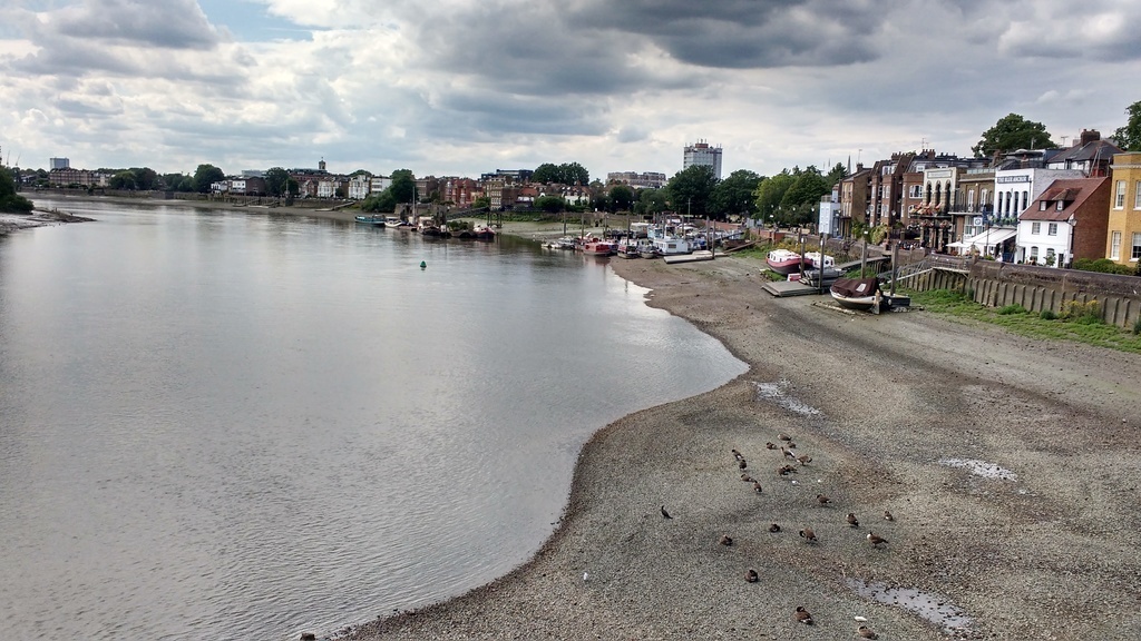 View from Hammersmith Bridge