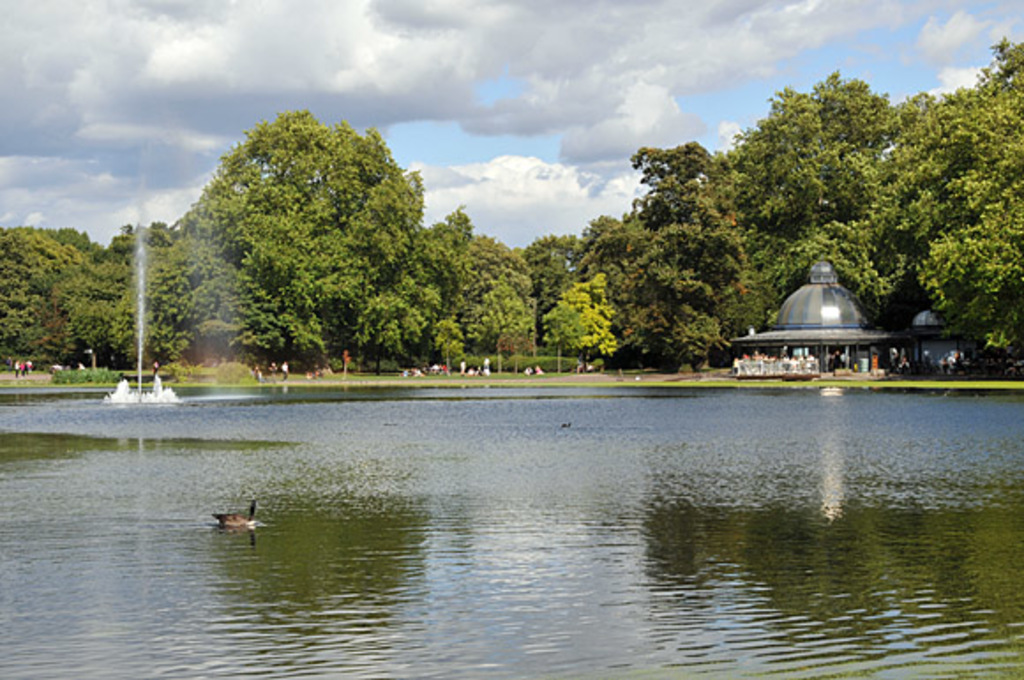Boating lake in the park