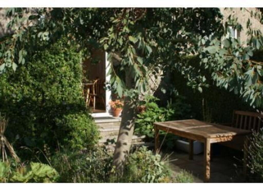 Back garden eating area