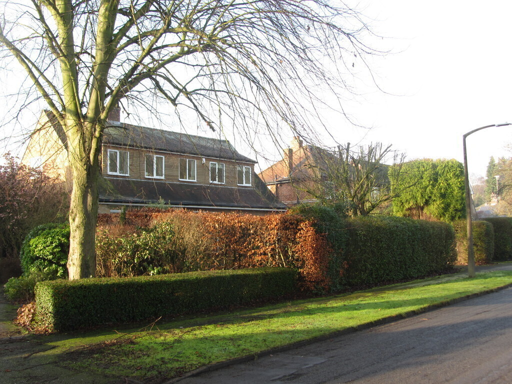 Our house from the road