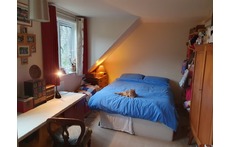 Third bedroom & Hobby room with king-size bed (and cat!)