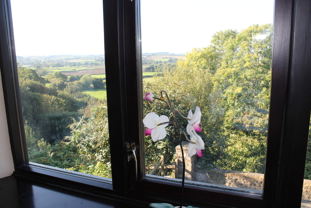 View from living room