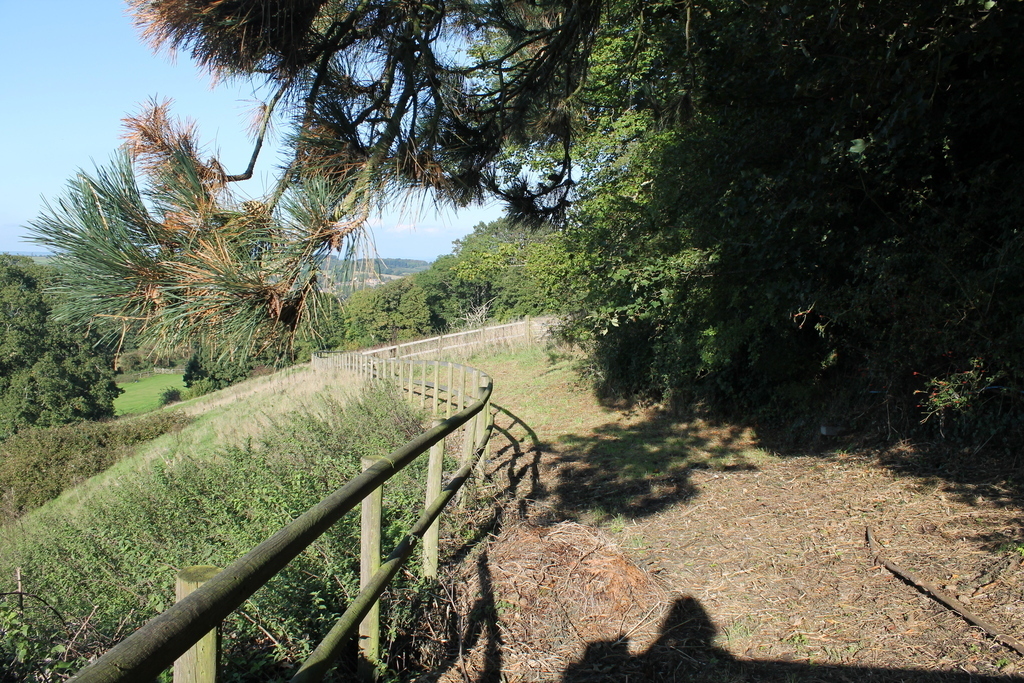 View from kitchen window
