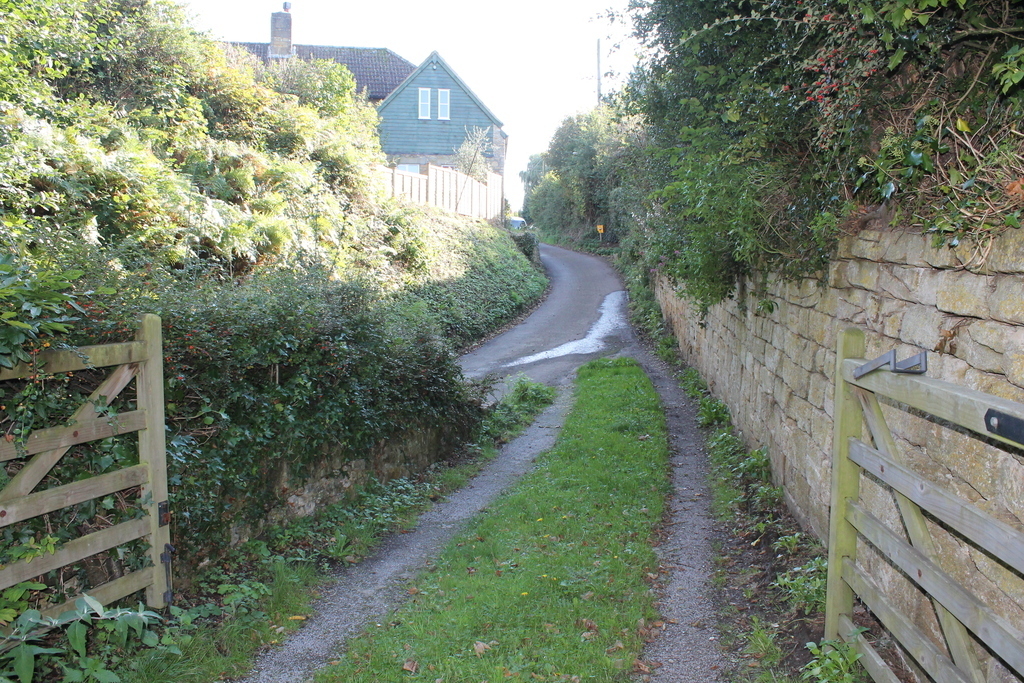 Green Street and driveway to cottage
