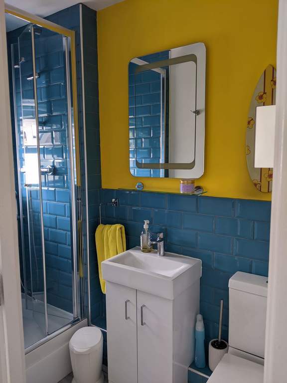 Downstairs toilet and shower