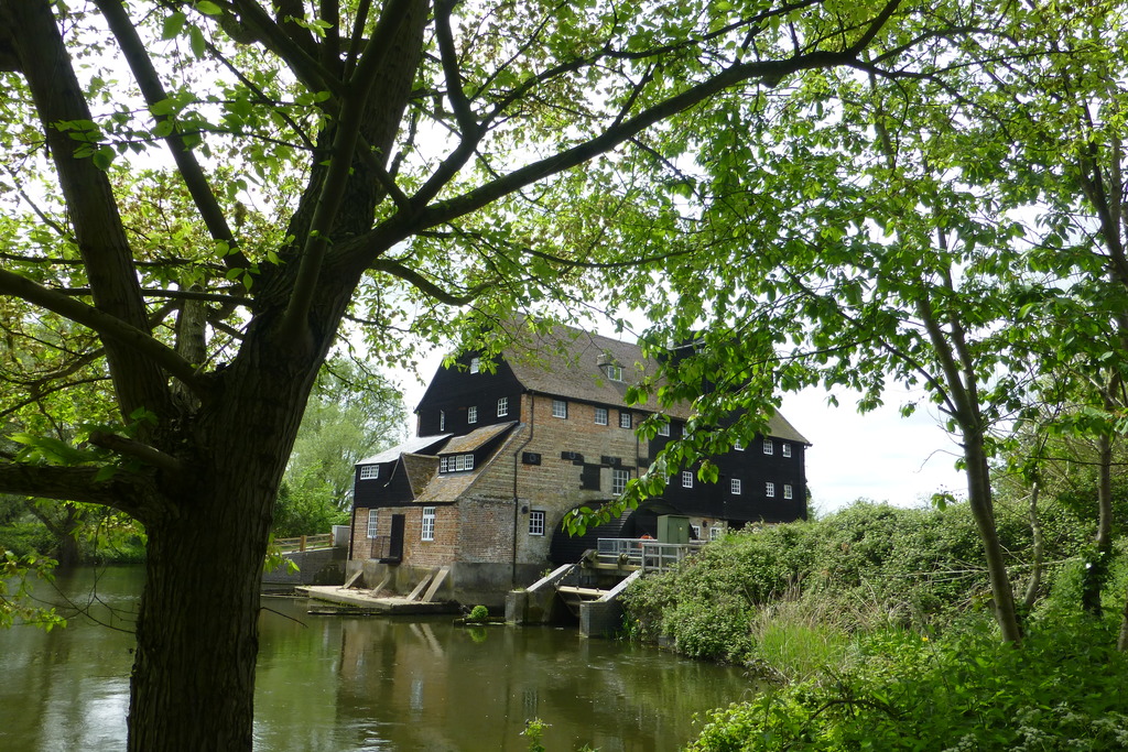 Photo taken walking along the River Cam in Cambridgeshire looking towards a Nation Trust Mill, open to the public in summer