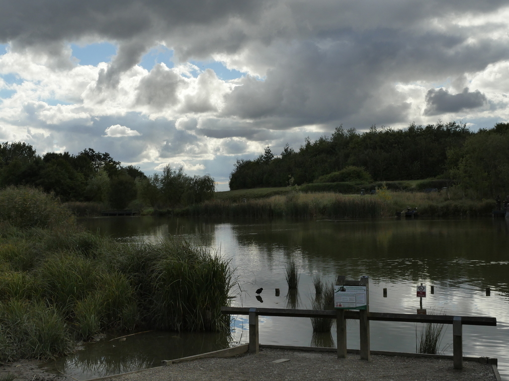 Thorley Park southern park on the walk round the estate.