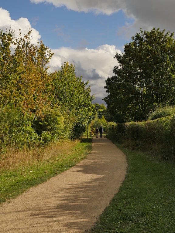 The walk round Thorley Park, the estate we live on.