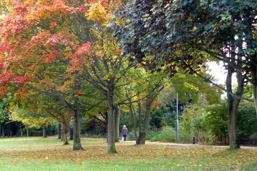 The area of park at the end of our road - a short walk to the shops and supermarket