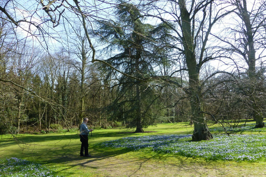 At Anglesey Abbey gardens in spring