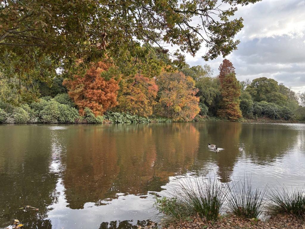 There are several National Trust properties nearby.