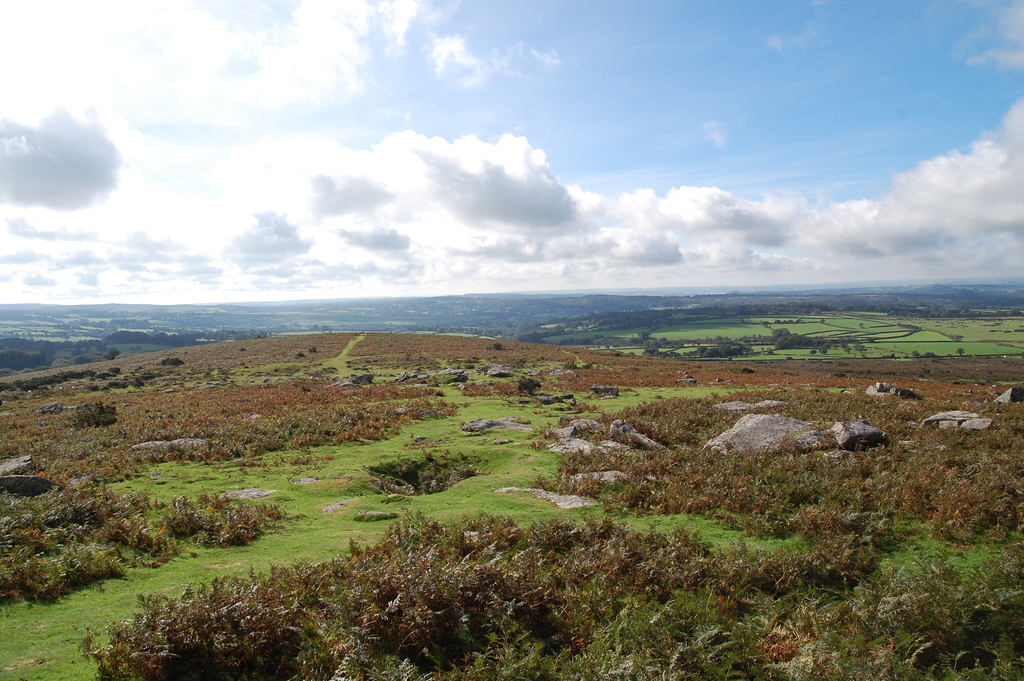 Pew Tor, Dartmoor (five minutes' drive from our house)