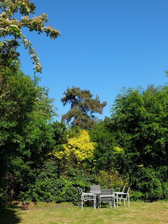Garden and chairs