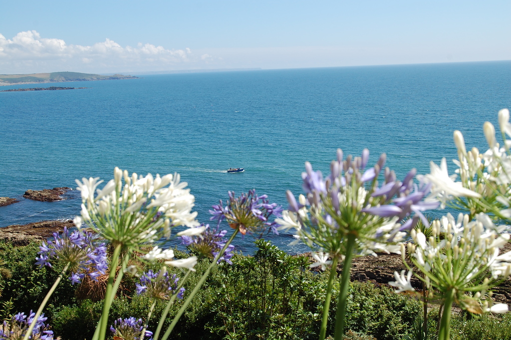 View from St Michael's Mount, Cornwall