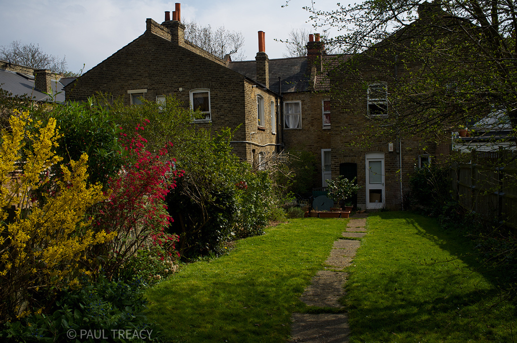 View from the end of the garden