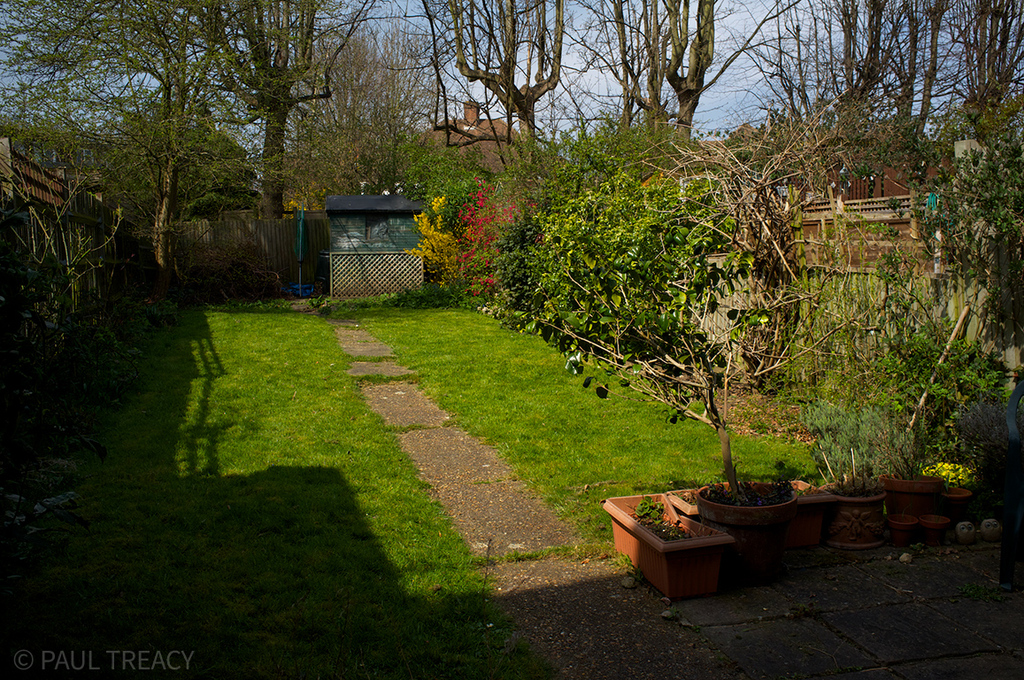 Back garden as seen from kitchen