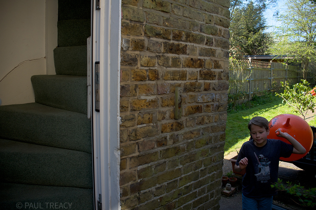 Back stairs to garden
