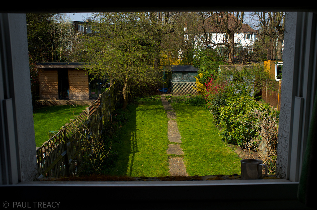 The garden as seen from Kitchen window
