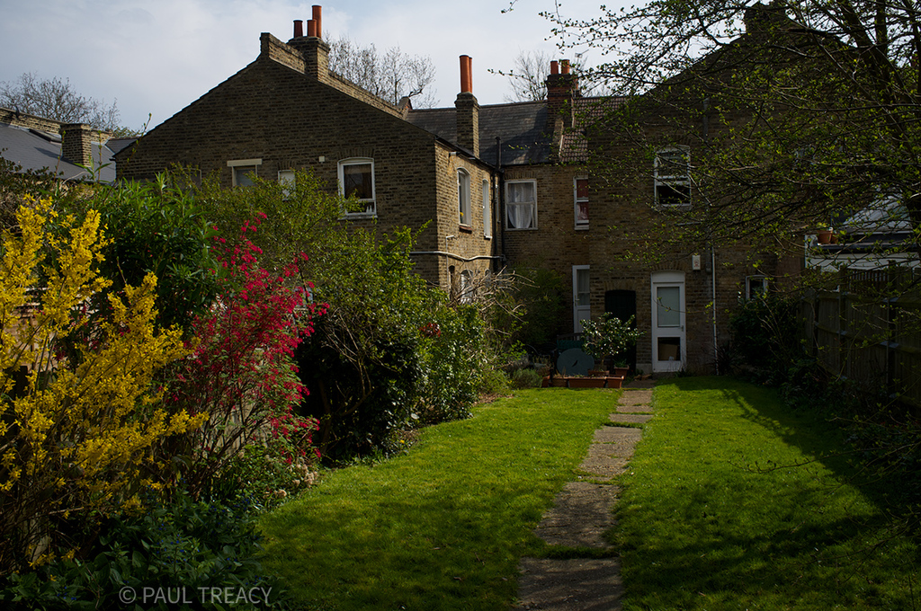View from the end of the garden