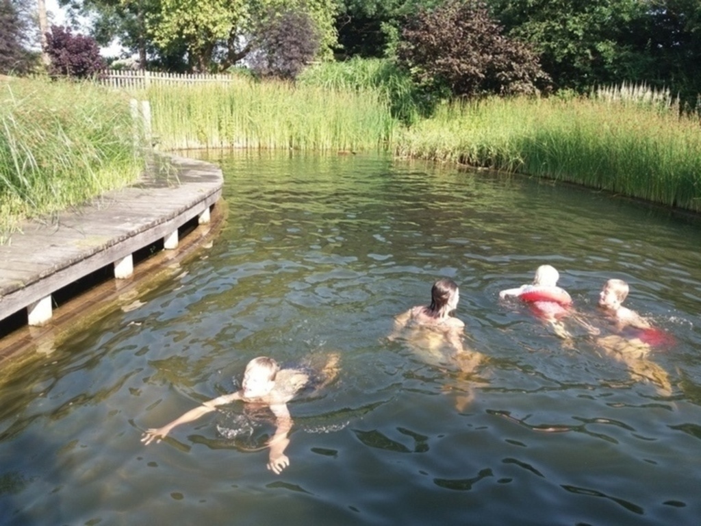 enjoying the swimming pond