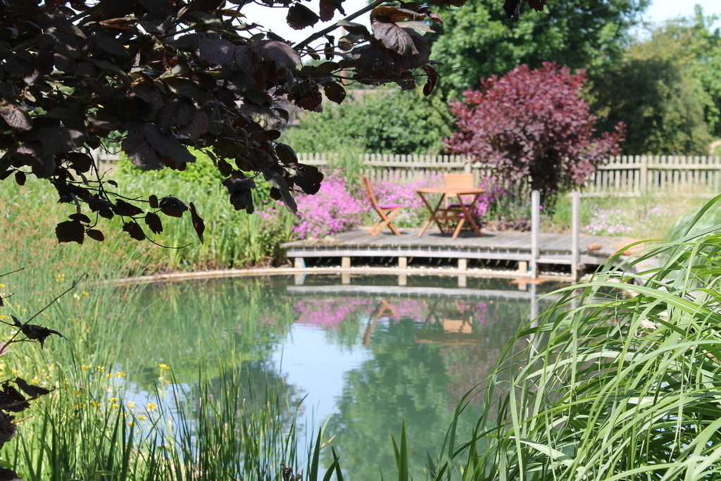 the swimming pond and deck