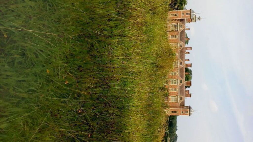 Fellbrigg Hall national trust, Norfolk