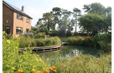 Nature filled rural idyll; large house and garden