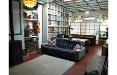 This is our main living space/studio (plus cat!)