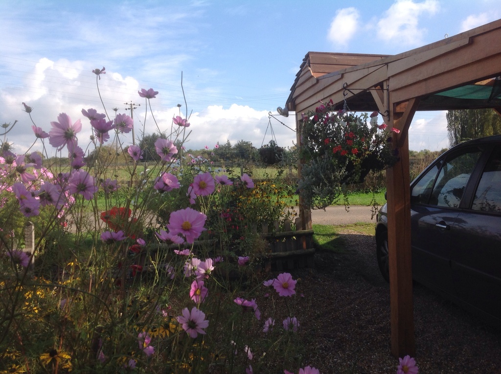 View from front door