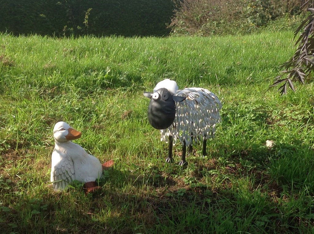 Shaun the sheep found a new friend this summer, the Drunken Duck