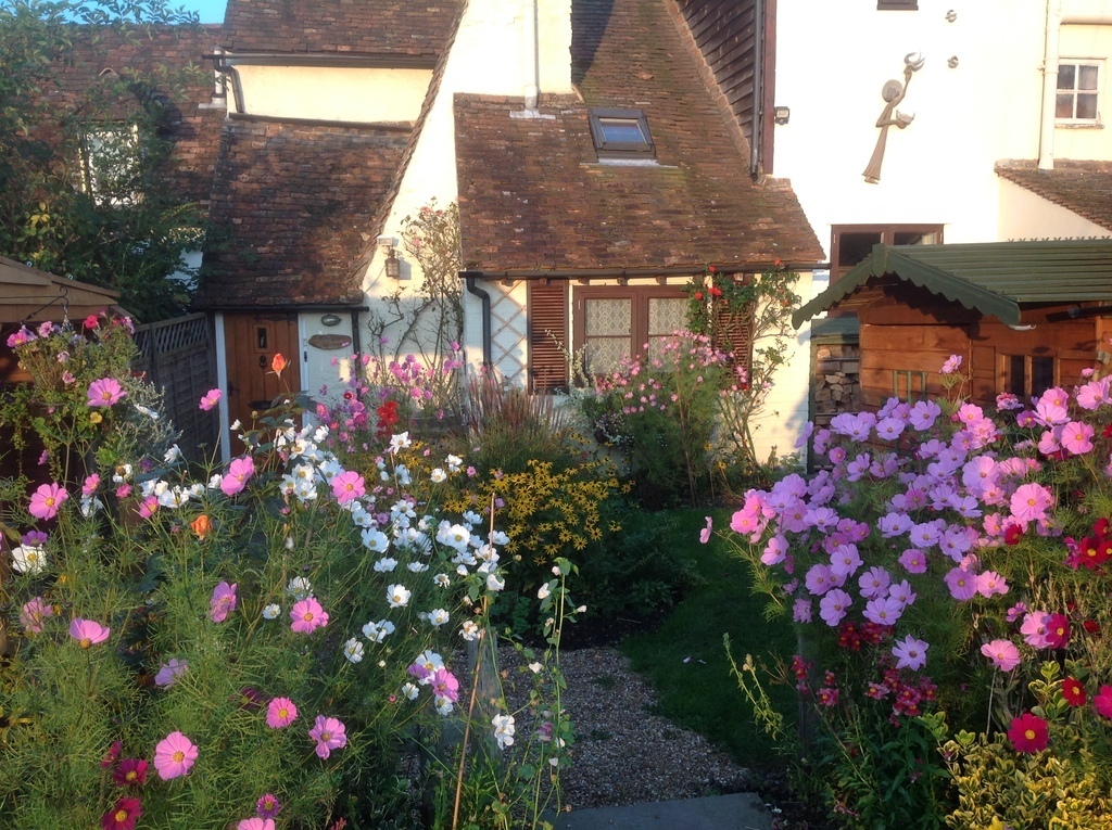 You make an entrance through the flowers