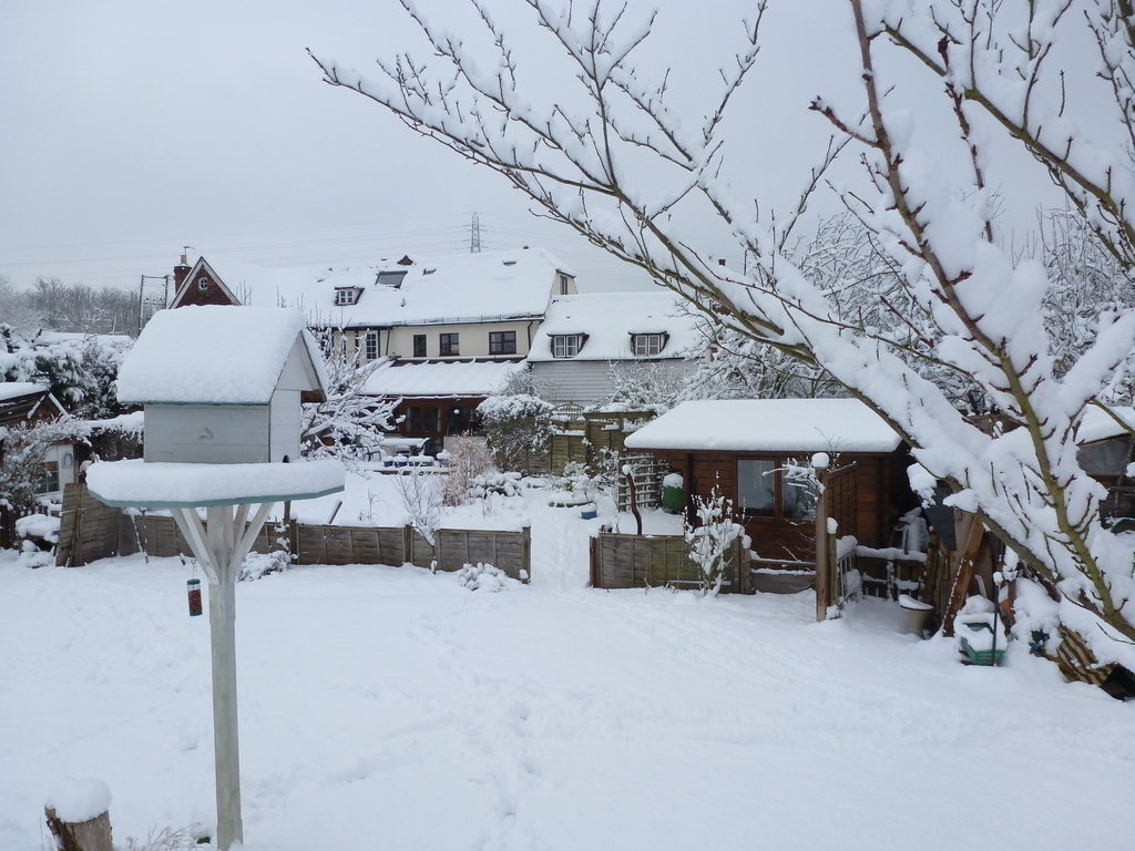 It rarely snows here, but we get out and enjoy it when it does