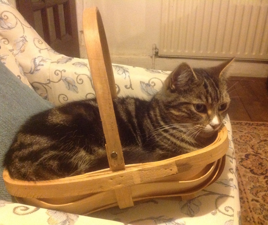 He just knew this was his best profile...