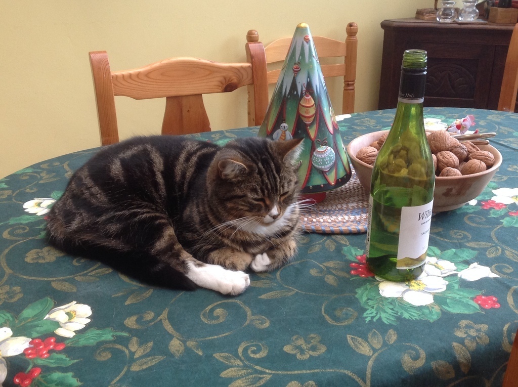 He occasionally decides to help lay the table...