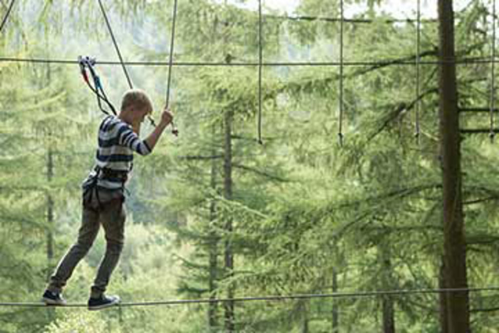 Choice of activities Forest of Dean.