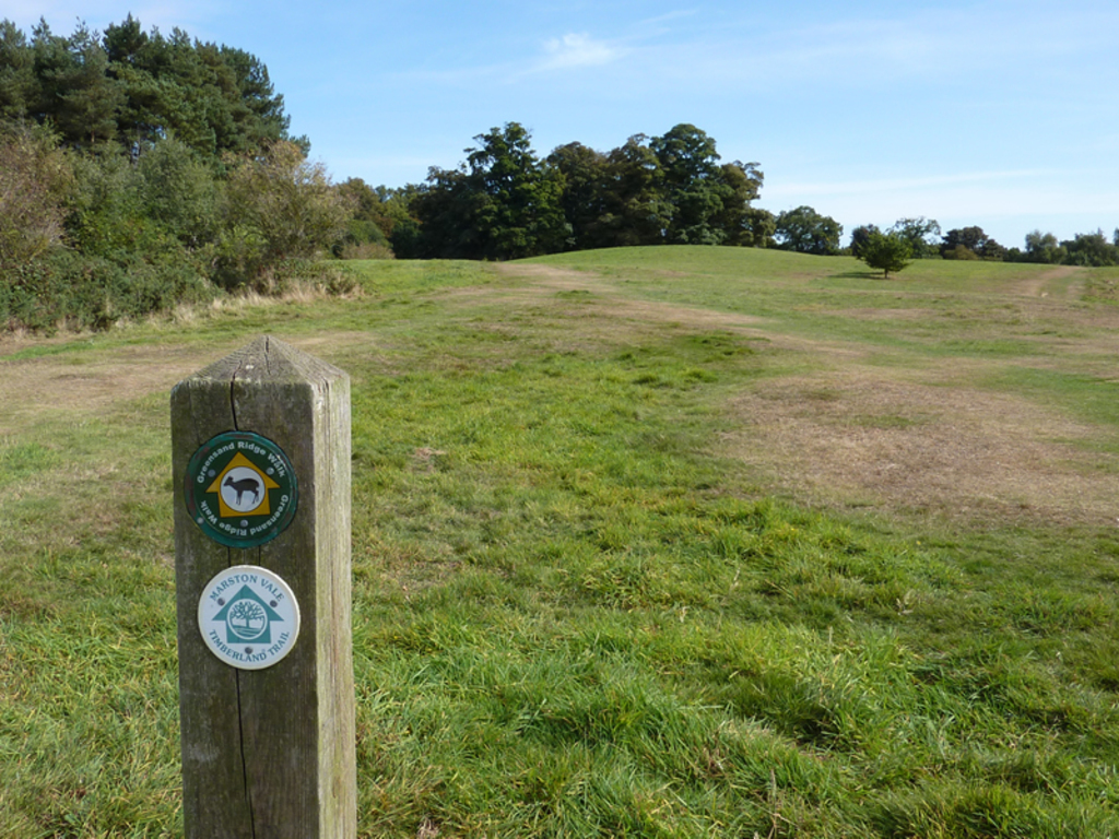 Lovely walks and views in Ampthill Great Park