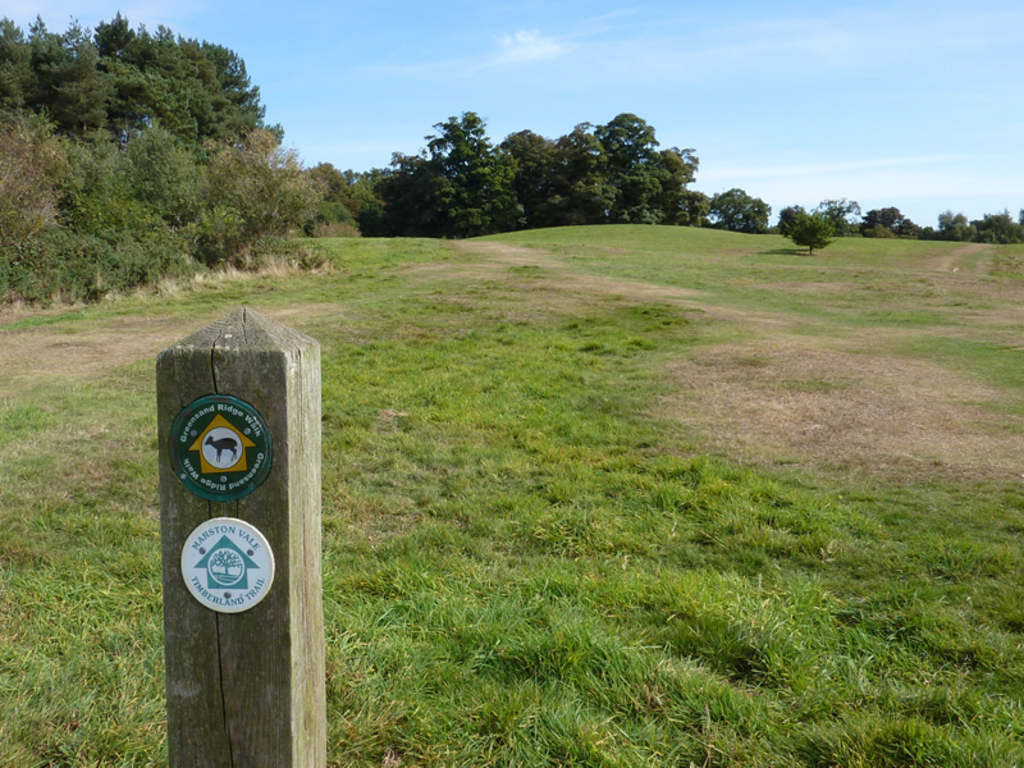 Lovely walks and views in Ampthill Great Park